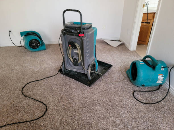 Best Water damage restoration mold remediation  in Penngrove, CA