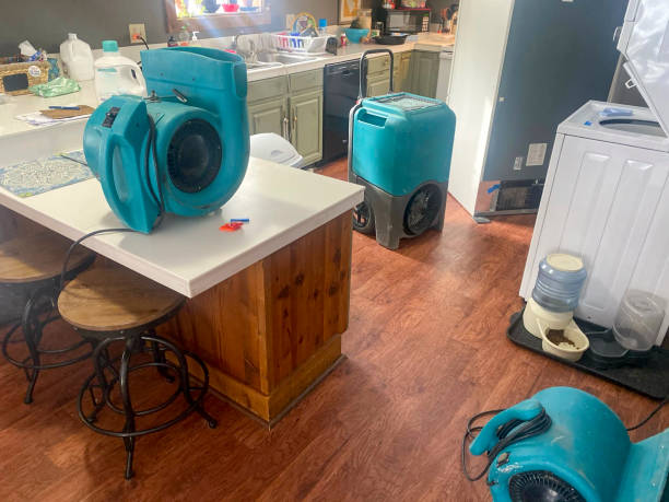 Best Sewage cleanup and water damage restoration  in Penngrove, CA