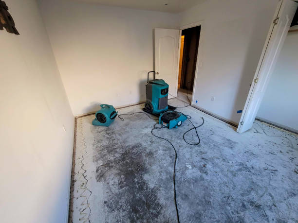 Best Carpet water damage restoration  in Penngrove, CA
