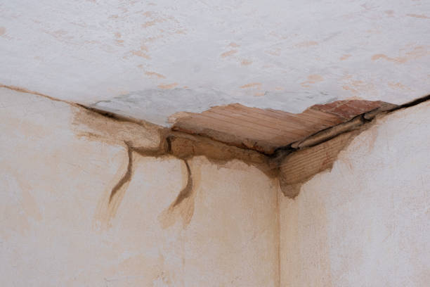  Penngrove, CA Water damage restoration Pros