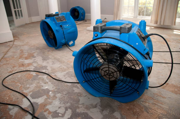 Best Flood damage cleanup  in Penngrove, CA