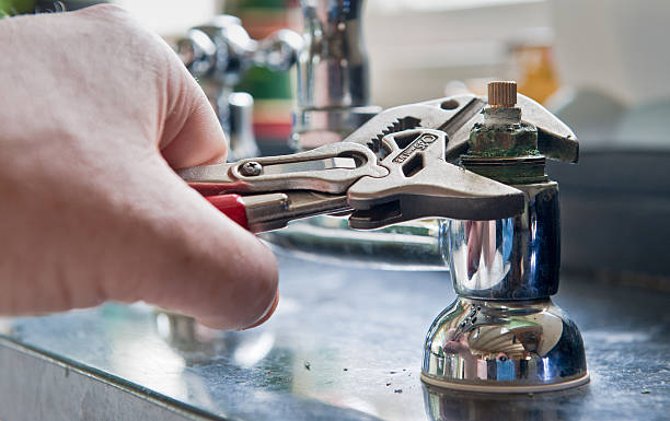 Best Mold removal after water damage  in Penngrove, CA
