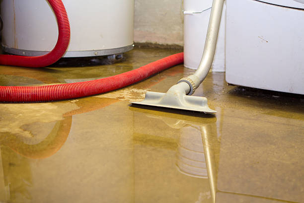 Best Fire Damage Restoration  in Penngrove, CA