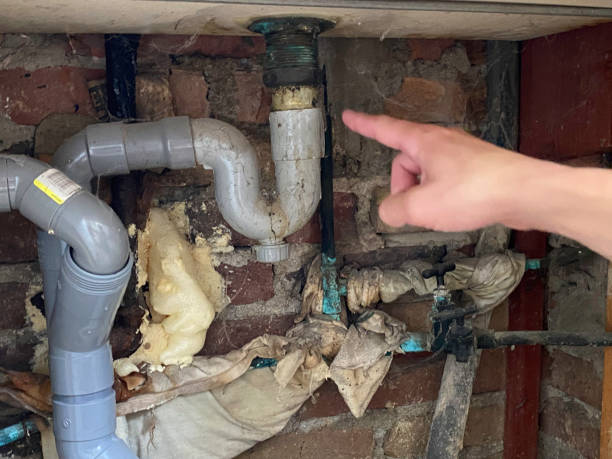  Penngrove, CA Water damage restoration Pros