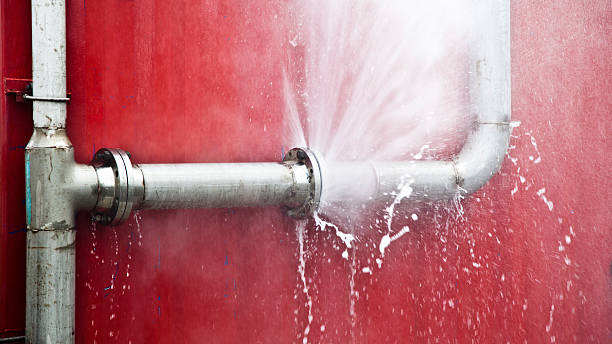 Best Local water damage restoration  in Penngrove, CA